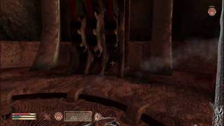 Oblivion Walkthrough - Allies for Bruma - Bravil - Opening the Gate | WikiGameGuides