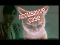 Russian cases - Accusative 1