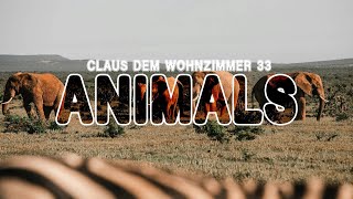 Claus dem Wohnzimmer #33 ANIMALS