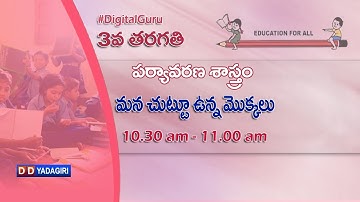 3rd Class Environmental Science || మన చుట్టూ ఉన్న మొక్కలు  || School Education || November 05, 2020