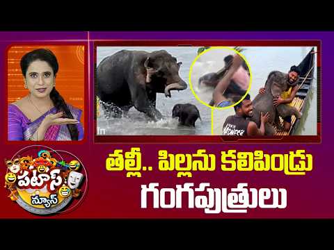 Fishermen Save Baby Elephant | తల్లీ.. పిల్లను కలిపిండ్రు గంగపుత్రులు  | Patas News |10TV News - 10TVNEWSTELUGU