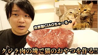 ルトとロゼのためにクジラ肉で自家製CIAOちゅ〜るを作る