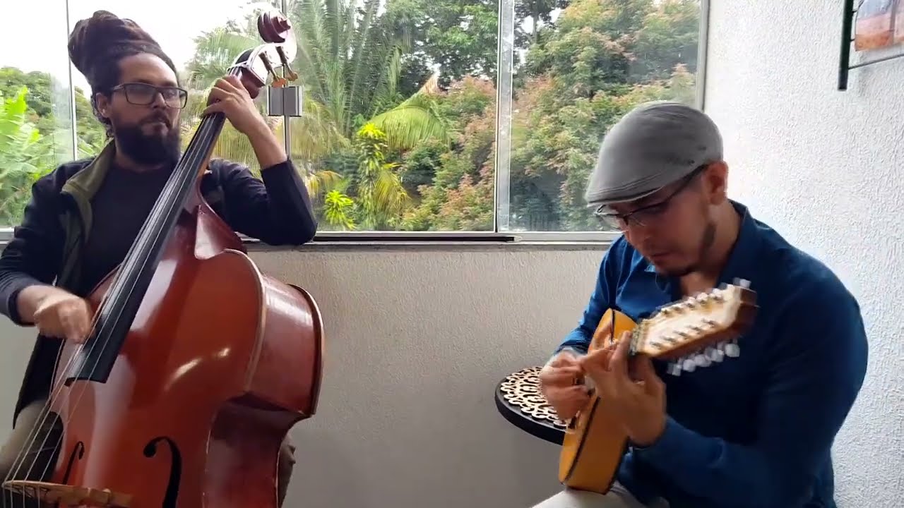 Wave (Tom Jobim) Bandolim e Baixo Acústico | Sebastián Silva e Will Mourão