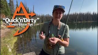 “Quick’n’Dirty” Conservation Tips: Debarb Your Hooks!