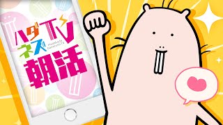 🔴【朝活/FreeTalk】サムネを作るよ(=˙ϖ˙=)ﾉ✨【Vtuber/ハダカデバネズミ】