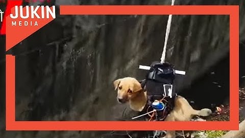 Inventor Creates Rescue Drone to Save Puppy Stuck in Drain