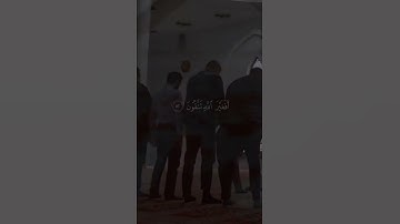 القارئ عبدالرحمن مسعد        ة النحل (٥٢-٥٤)