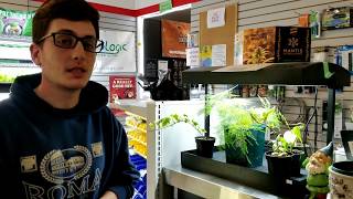 Sunblaster Nano Dome and Grow Light Garden
