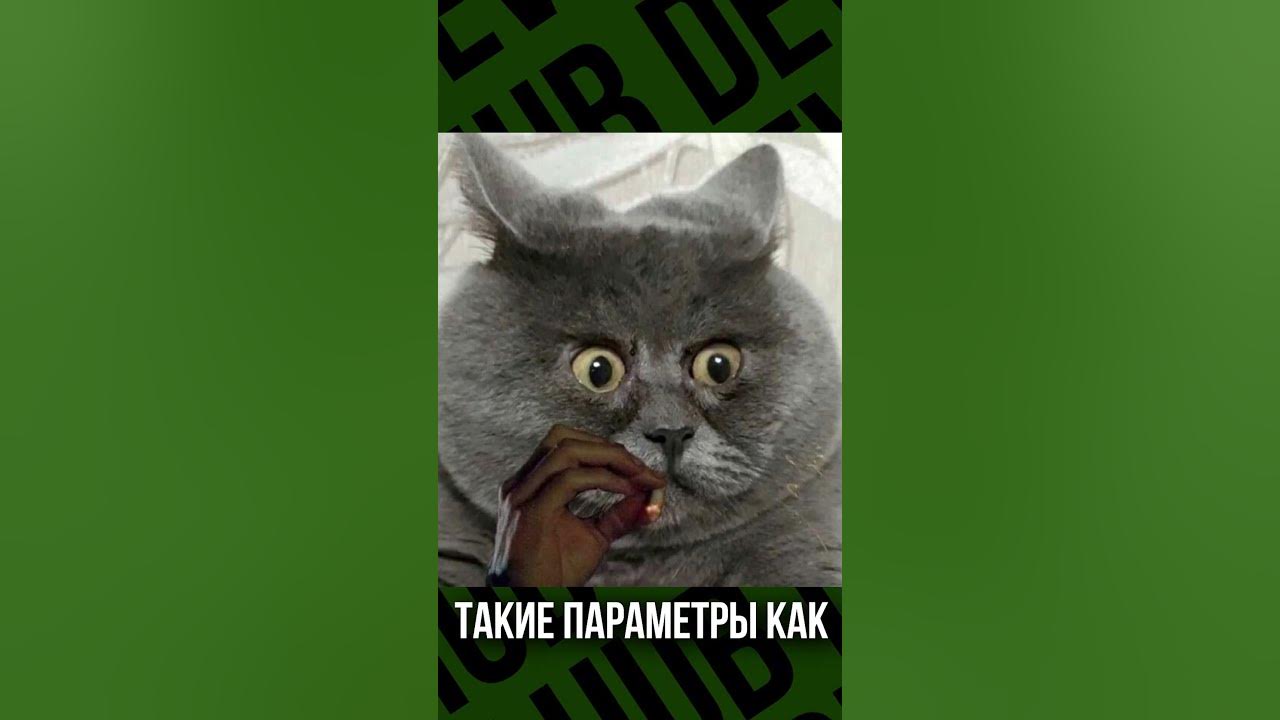 Большой брат следит за тобой! Devlog - день 3 - YouTube