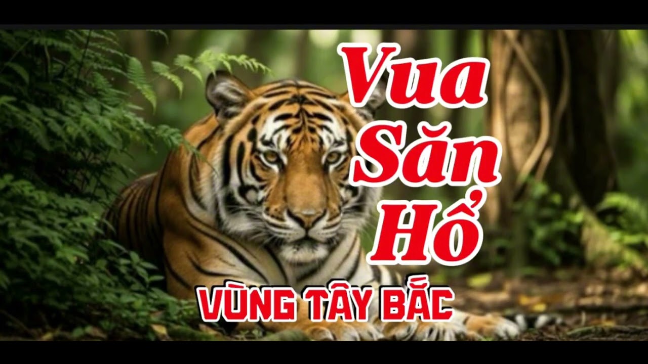 VUA SĂN HỔ VÙNG TÂY BẮC | Lê Anh diễn đọc 