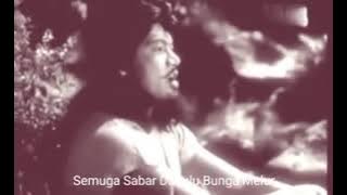 Bunga Melor