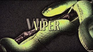 Troyboi X Guaynaa  Viper    