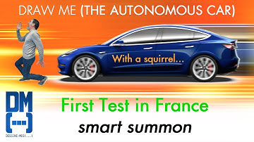 Draw me (...): Like walking a dog on a lead (First smart summon in France)