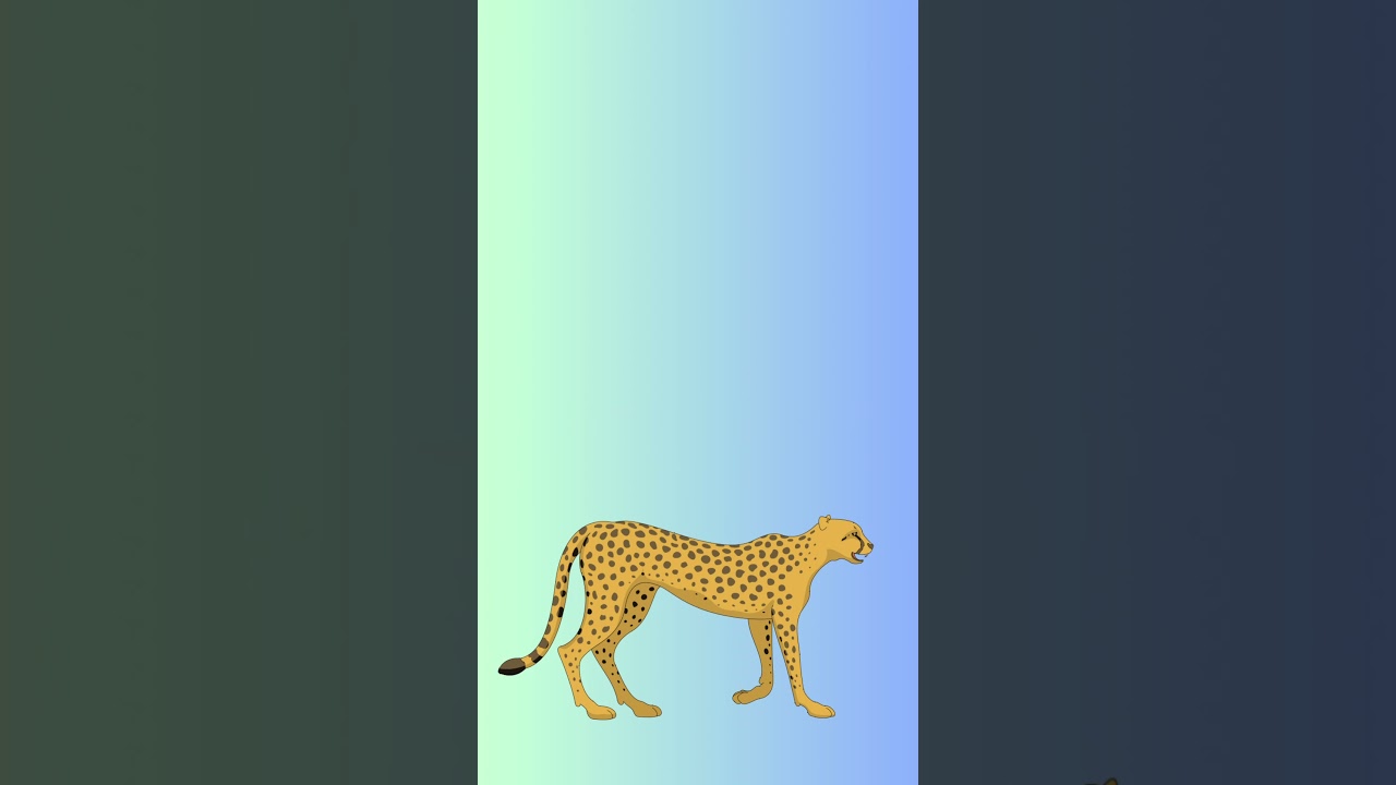 Tallest and Longest mcqs 