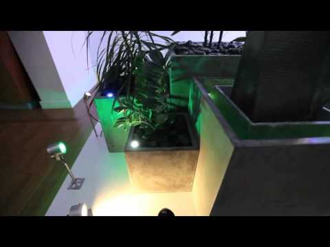 LED ECO Lighting showroom