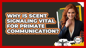 Why Is Scent Signaling Vital For Primate Communication? - Anthropology Insights