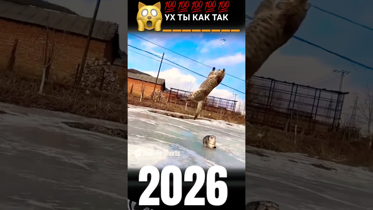 7 марта 2026 г.