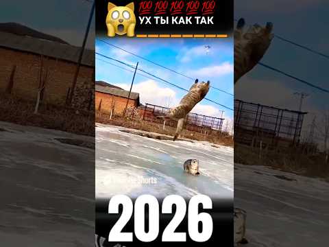 7 марта 2026 г.