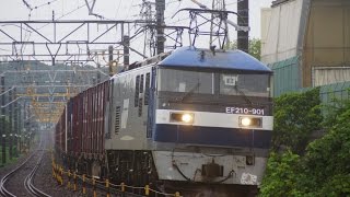 JR貨物 EF210試作機充当 5085列車 EF210-901[岡]牽引 鷲津~新居町