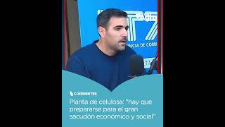 Corrientes se prepara para un boom histórico 💰🌲: 13.000 empleos y una mega inversión