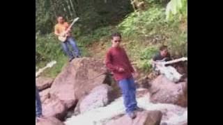 Niena-Acid Rain