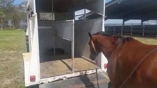 Float & Truck Loading