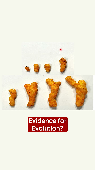 Strong Evidence for Evolution? Are Cheetos Evolving Too? #science