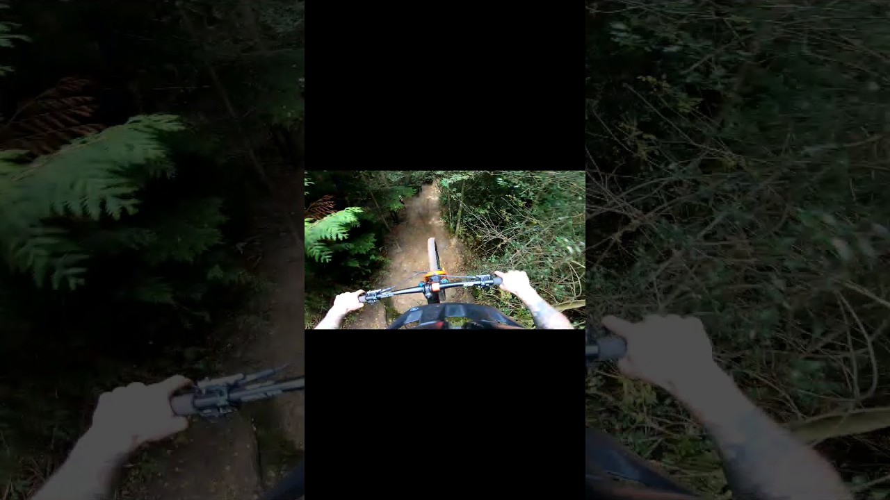 DMR Drop & Jump Rogate 