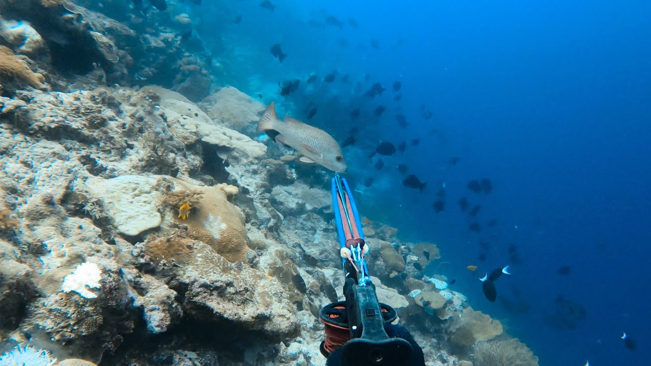 Spearfishing Remote Eastern Atolls Papua New Guinea