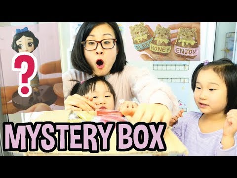 Mystery Toreba Box from Subscriber!