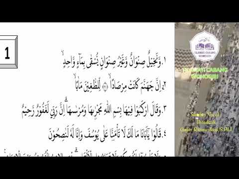 Ayollar mushuklarini qirdiradilar (videoni tomosha qiling)