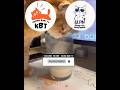 Segala gak ada sendok || Kucing Lucu Paling Ngakak Part 1904 || #funny #shorts #fyp