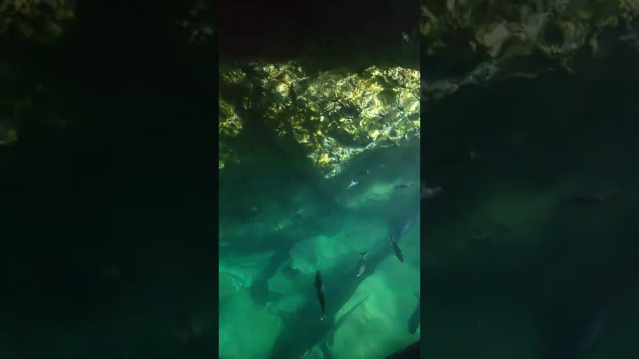 Fondo Cristal glass bottom boat tour in Tossa de mar cave 
