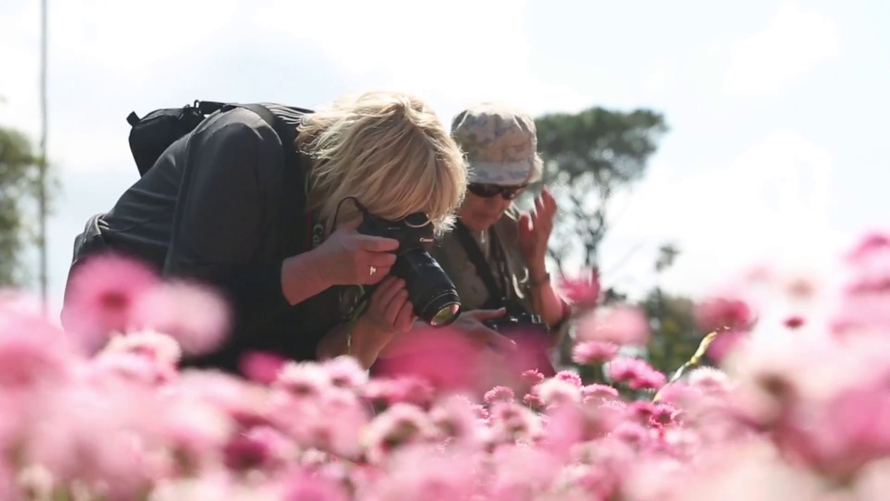Macro Photography Course Sydney The Aperture Club YouTube