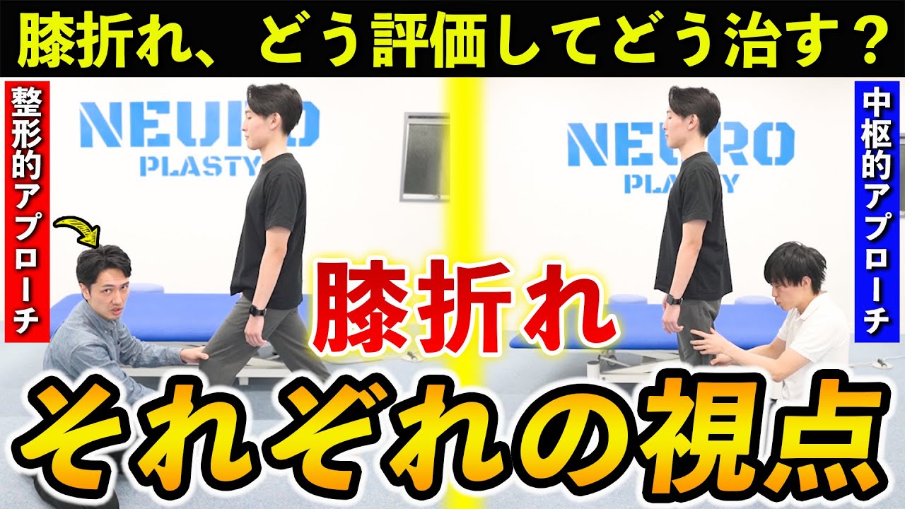 【中枢•整形それぞれのアプローチ】膝折れの評価治療で悩んでいるセラピスト必見です!