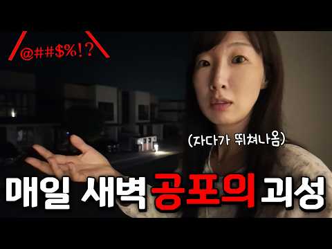 매일 새벽 4시만 되면 들리는 공포의(?) 괴성! 몇달째 잠을 못자고 있어요ㅠ 말레이시아 살기 고되다