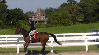Hunter Derby Victory Gallop