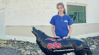 OFS Apply Today