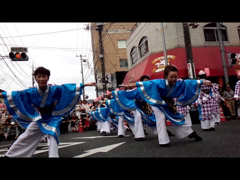 2015秦野たばこ祭よさこい踊り　いせはら舞呼
