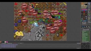 Tibia   Encore