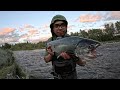 First Silver of the Year 2025  | Centerpin Float Fishing at Ship Creek, Alaska