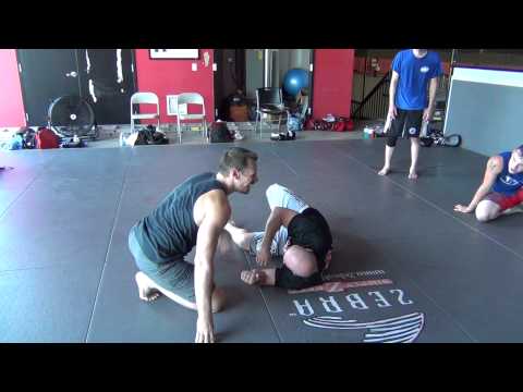 Reverse Lever Tips