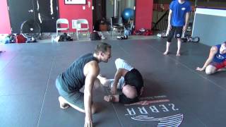 Reverse Lever Tips