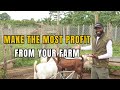 The secret to increasing your profits in livestock farming in africa