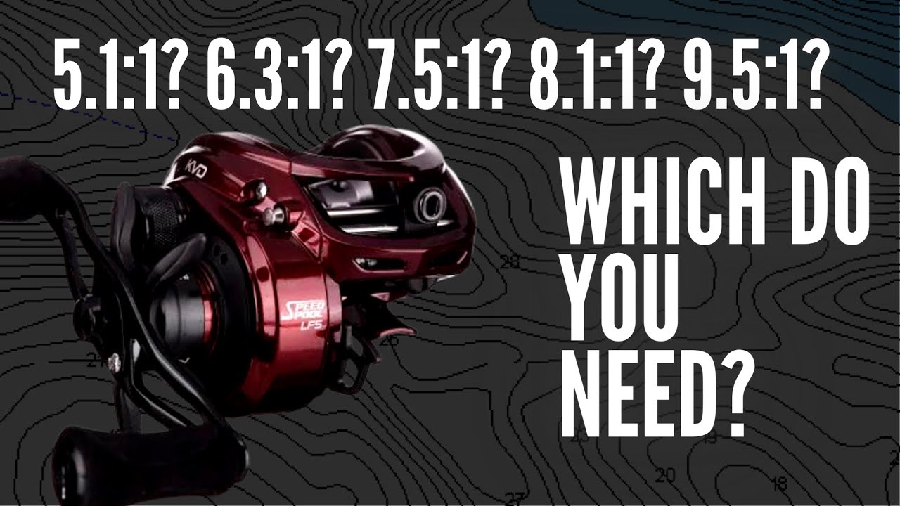 How to Select the Right Gear Ratio Fishing Reel (2024) - Bass Blog