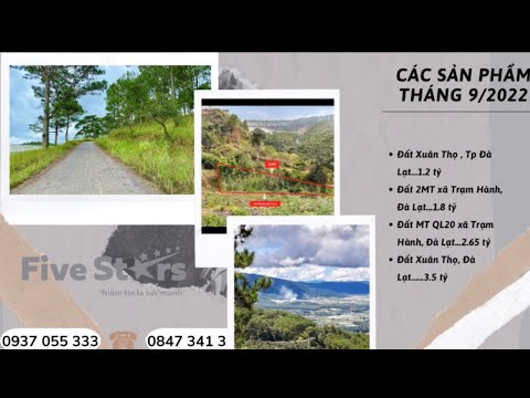Video Tổng hợp nhà đất Đà Lạt tháng 10 - 2022 - youtube