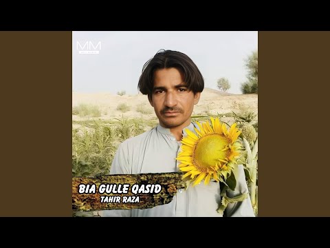 Bogush Khatae Mani Che