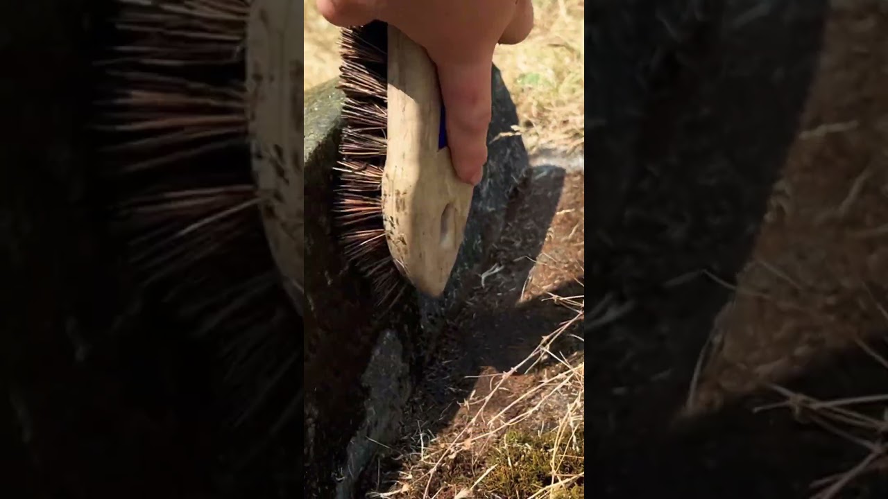 Have you seen the new video?! 