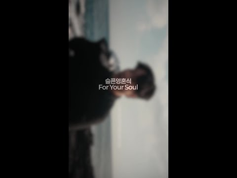 깊은 밤, 문득 세상이 아주 조용해지는 순간이 있다.