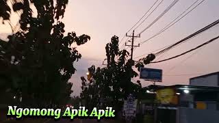 Dangdut Koplo Terbaru 2025 🔥Viral Lala Widy & Vita Alvia, Sia Sia Mengharap Cintamu,   Kelangan